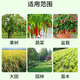 Smart Green Compound Fertilizer Universal Nitrogen, Phosphorus and Potassium Fertilizer for Flowers, Vegetables and Fruit Trees Agricultural Fertilizer Granular Fertilizer Medium Element Water-soluble Fertilizer Universal Granular Fertilizer 400g*2 Bags Limited Time Benefits