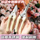 Yanran garden shears, potted plant pruning artifact, floral shears, floral pliers, 1 pair