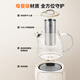 SUPOR health kettle household 1.2L all-glass health kettle 0 glue health kettle tea kettle stew all-in-one tea kettle thermostatic kettle electric kettle health kettle SW-12Y06Q 1.2L