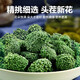 云南三七花正品24年新花特产干花干田七茶三七花泡水喝 精选四年三七花501克瓶装