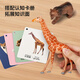 Newkey Children's Toys Simulation Animal Model Bunny Boys and Girls Wild Animal World Awareness Card Set