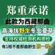 Naqu Zhifa 2025 Tibet Naqu High Altitude Authentic Wild First Fresh Cordyceps sinensis One-to-One Pay Ten Naqu Wild Grass 1.5g/root-10 root