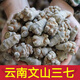 Beijing Tongrentang auténtico Yunnan Wenshan Chun Panax notoginseng Panax notoginseng y Tianqi se utilizan en el patio interior. Venta directa desde origen. 10 cabezas, 20 cabezas, 30 cabezas, 500 gramos de cabezas resbaladizas sin cortes (12 cabezas, un Jin Jin equivale a 0,5 kg)