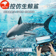 Cat Rong Remote Control Shark Charging Dynamic Simulation Megalodon Can Launch into the Water Model Remote Control Boat Toy 2024 New Model for Boys and Children 4 Batteries Water Spray Model - Double Waterproof