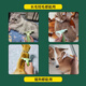 Pekingese cat comb, cat and dog combing and thinning comb, special cleaner, pet knot removal and floating hair dog hair comb, one comb, three uses, matcha green - small combing/thinning/