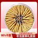 La nouvelle boîte cadeau séchée de Cordyceps séchée de Kangsil pour offrir des cadeaux à nourrir et à nourrir la qualité de sélection de Cordyceps pour les anciens Tibet Nagqu Cordyceps environ 2 racines / gram 80 racines (boîte cadeau)