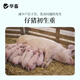 Huazhu 4% growing piglet, piglet premix, pig feed, fattening pig compound premix feed, sow feed beans, pregnant sow, whole ton as low as 63.98
