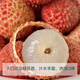 
[Farmer Direct] Guiwei lychee 1.5kg