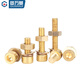 Guwanji National Standard Brass Hexagon Screws Copper Nuts Bolts Nuts Flat Washer Spring Washer Combination Set M8x35 2 Sets