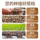 Cute fleshy vermiculite special soil for rose cuttings and flower cultivation, perlite particles, turtle egg hatching, hair root breeding, vermiculite 1-3 mm 5L