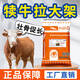 British American cattle feed calf special premix calf opening feed calf skeleton fattening fast growth additive special premix for fattening cattle