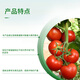 Syngenta Guanwushuang contains amino acids to protect flowers and fruits, foliar water-soluble fertilizer, transplanting, stabilizing seedlings, regulating growth, general fertilizer 1L*1 bottle