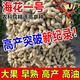 Short-stemmed and early-maturing Academy of Agricultural Sciences Haihua No. 1 Shandong ultra-high oil original disease-resistant peanut seeds thin-shell seedlings can be planted nationwide Shandong Haihua No. 1 first-generation original high oil recommended by the Academy of Agricultural Sciences Hand-selected 10 Jin Jin equals 0.5 kg