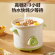 Yangzi fully automatic electric stew pot for cooking porridge, stew pot, food supplement pot, stew pot, small electric stew pot, 1.5 liter soup pot, old-fashioned electric casserole, temperature-controlled slow cooker, soup pot, stew pot, 2.5L, suitable for 1-4 people