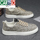 CARTELO canvas shoes men's low top summer 2025 new niche low top printed board shoes men's thick sole sports and casual trendy shoes T24 beige 41