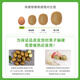 Jingxiansheng Shaanxi Xuxiang Green Heart Kiwi 16-18 pieces, about 80-110g per fruit, fresh fruit gift box