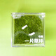 Jingdong green plants, a private lawn, office gift box, moss micro-landscape ornaments, ecological green plants, customized gifts, straight from the source