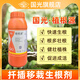 Guoguangzhi root 5% naphthalene acetic acid root agent to strengthen seedlings, tree rejuvenation, transplanting, cutting pesticide, plant growth regulator 1000ml