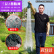 Rice net fishing net dipped fish net hanging net crucian carp net white strip net wire net fishing net sea net sinking net three-layer fishing net sinking net three-layer sinking net 2 fingers 30 meters long 1.2 meters high round lead pendant