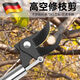 Leaf high branch shears pruning shears stainless steel scissors for pruning garden sparse flowers and fruits pruning high-altitude pruning shears high branch flower pruning shears 1.5 meters non-retractable second hair with spare spring