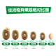 Zespri green kiwi fruit, 12 selected large fruits, about 113-135g per fruit, kiwi fruit