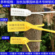 One-time customized garden seedling seal number tree extended plastic seal label sign 42CM50CM60CM plastic 33cm blue 100 pieces