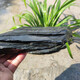Fish tank stone ornamental stone native tank black gold fine schist turtle basking back schist landscaping platform fish tank climbing pet vacation 3Jin Jin equal to 0.5kg 20-30cm