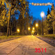 Luodaban (Luodaban) Anchor Live Broadcast Room Outdoor Night Szenen Street Light Rural Road Szenerie Tuch 3D dreidimensionales Internet Promi Live Broadcast Hintergrundtuch 2 Meter breit 2 Meter hoch 109