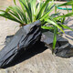 Fish tank stone ornamental stone native tank black gold fine schist turtle basking back schist landscaping platform fish tank climbing pet vacation 3Jin Jin equal to 0.5kg 20-30cm