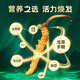 藏幽正宗冬虫夏草礼盒装滋补品头期干虫草送长辈父母领导营养品礼物 【严选品质】3根/克-10克-30根【送礼推荐】