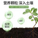 Smart Green Compound Fertilizer Universal Nitrogen, Phosphorus and Potassium Fertilizer for Flowers, Vegetables and Fruit Trees Agricultural Fertilizer Granular Fertilizer Medium Element Water-soluble Fertilizer Universal Granular Fertilizer 400g*2 Bags Limited Time Benefits
