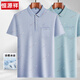 Hengyuanxiang middle-aged men's lapel short-sleeved T-shirt daddy suit summer thin polo shirt middle-aged and elderly ice silk half-sleeved men old man T ice silk-9923 blue real pocket M 48/165