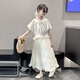 MOKITOUL girls summer dress 2025 new children's fashionable summer girls big children princess skirt skirt suit skirt suit skirt (high-end gift box packaging) 120 cm