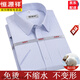 
Hengyuanxiang men's short-sleeved shirt in summer thin stripes middle-aged daddy's outfit plaid free-iron casual cotton shirt Father's Day Short-sleeved pinstripe purple DX6624 model 38 [Suggested 100-120 Jin [Jin equals 0.5 kg]]