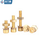 Guwanji National Standard Brass Hexagon Screws Copper Nuts Bolts Nuts Flat Washer Spring Washer Combination Set M8x35 2 Sets