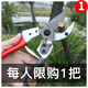 Arrizo flower scissors, gardening scissors, pruning shears, branch scissors, scissors, fruit tree picking, tea and fruit artifacts, labor-saving metal handle type (SK5 steel blade)