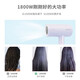 Drei-Wahl-beste negative Ion-Haartrockner Haushalt faltbare Haarpflegemittel Haartrockner Schlafsaal Hair Salon Tragbarer FH6277 FEIKE 6296 (nicht faltbare Kraft 18 00W)