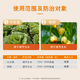 Guoguang Tiandu 8% amino acid ester increases photosynthetic rate, chlorophyll synthesis, Chinese cabbage, jujube tree regulates growth, official authentic product 10g*2 bags