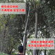 Jingkai high-branch saw saw pruning high-altitude sawing wood long-pole telescopic saw tree artifact free of climbing trees pruning branches logging saw