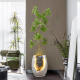 Sala de estar moderna que fluye agua y adornos de riqueza decoraciones de la fuente de la oficina gabinete de televisión piso de agua circulante bonsai 9928a altura de bonsai de agua 49 cm