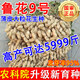 Shandong Academy of Agricultural Sciences high-yielding peanut seeds Luhua No. 9 large-grain early-maturing drought-resistant shelled original seeds Agricultural Science Direct* high-yielding original seeds Luhua No. 9-2Jin Jin is equal to 0.5 kg
