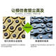 
Manmang is suitable for Zongshense Kelong RX1 motorcycle chain chain disc set ZS15051 small flying tooth disc sprocket three. Only buy large teeth 41 teeth