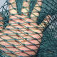 Fence chicken net nylon net vegetable garden mesh protective net fishing net guardrail breeding net fish net pulling net climbing vine net 1 meter high 10 meters long free rope 12 strands 3 cm mesh