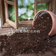 Jinyate nutrient soil, universal soil for raising flowers, potted soil and vegetables, special soil plant, succulent coconut brick soil 50L