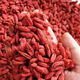 
Pupan Ningxia Big Wolfberry Master Planting Grass Authentic Wolfberry No Additive Special First-class Wolfberry Bag Soaked in Water and Wine No Sulphur [Large Granules] 20g (Try it)