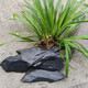 Fish tank stone ornamental stone native tank black gold fine schist turtle basking back schist landscaping platform fish tank climbing pet vacation 3Jin Jin equal to 0.5kg 20-30cm