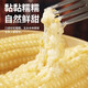 2025 Northeastern White Waxy Corn Vacuum Packed New Arrival Freshly Picked Farm-Grown Fresh Sweet Waxy Corn on the Cob Coarse Grain White Sweet Waxy Corn 2 Sticks 150-200g