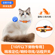 DEMOVK cat locator with camera collar anti-lost device gps tracking necklace collar detector Android anti-lost 10Jin Jin is equal to 0.5 kg or less -- precise positioning/ring search/remote switch