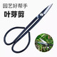 HONGDA garden shears, pruning shears, leaf bud scissors, potted garden scissors, bonsai flower shears, pruning tools, forged tree bud shears, manganese steel leaf bud shears, 1 pair