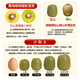 Longduo Fresh Red Heart Kiwi Sweet Kiwi Fruit Seasonal Fresh Sichuan Fruit for Pregnant Women Hand-selected 12 pieces Single Fruit 70-100g